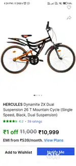 Heavy Steel body cycle