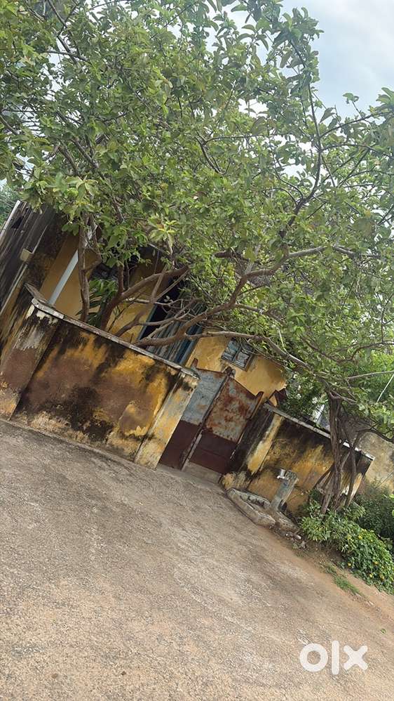 Low budget land for sale