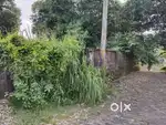 Aluva town 15 cent water frontage tar road frontage