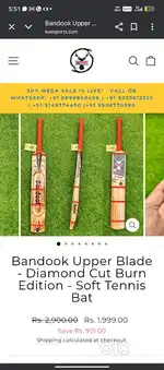 Cricket bat
