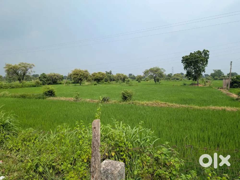 On road property 4.2 acre