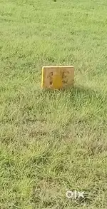 Plot for sale, plot number 15
