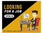 Sales executive