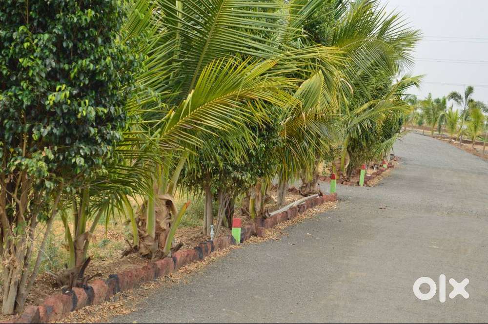 Fully developed Bungalow plots for sales in Kesnand Annex