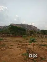 Farm Land for Sale!  - 30 gunta farm land