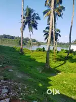 13.4 cent waterfront plot for sale near Perumbavoor,kalady,Airport