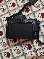 Canon 200d mark2 1.4 mm lens