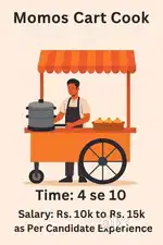 Momos cook  for cart manage momos steam and fry