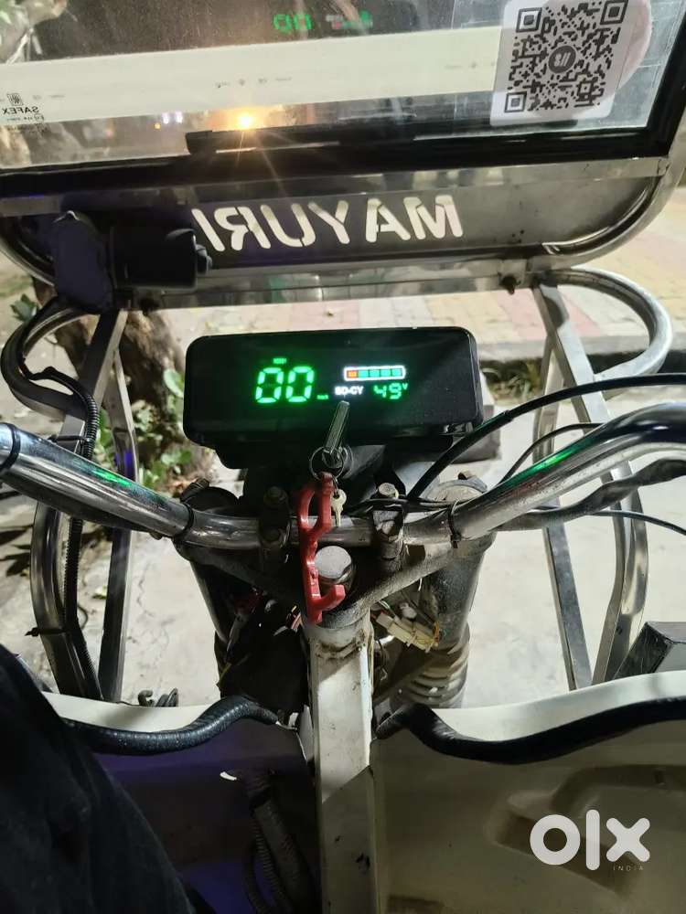 E - Rickshaw Driver