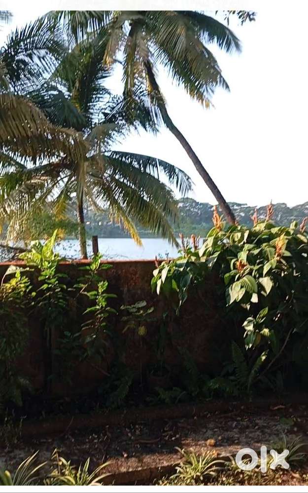 River facing Room for rent in Bangra Kuloor