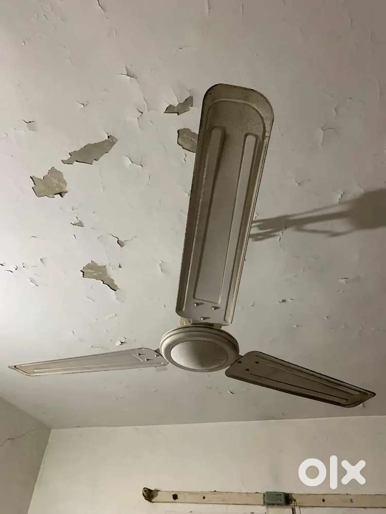 Ceiling fan good condition at Negotiable rate