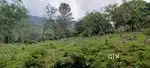 3 acres Agriculture Land in sirumalai ,Dindigul