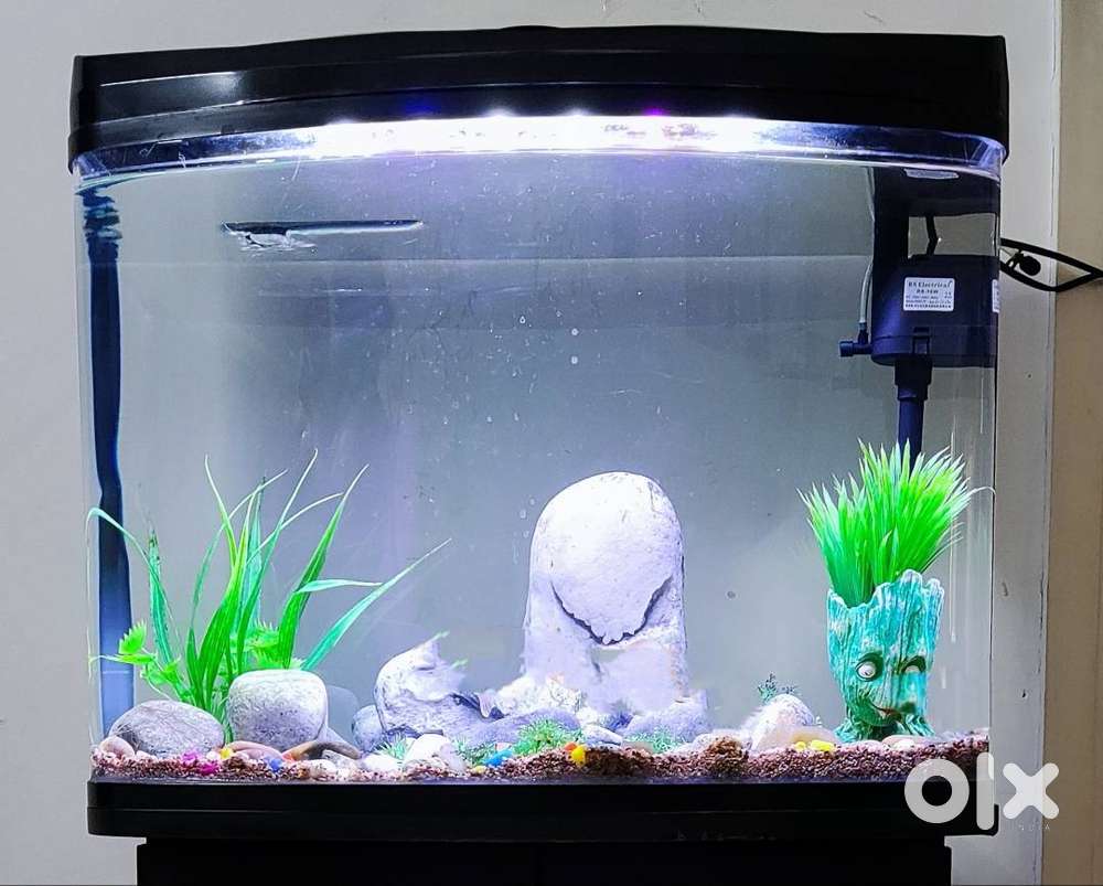 FIXED PRICE..1 year old aquarium with wooden cabinet & all accessories