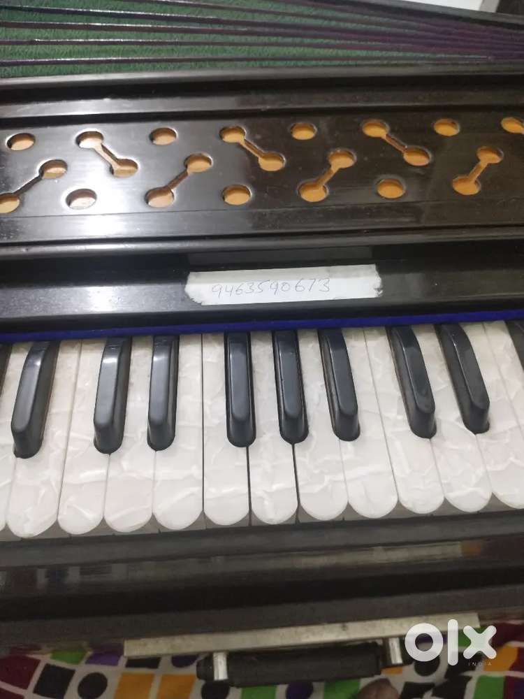 Harmonium music intumet