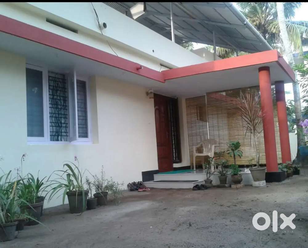 4.75 cent plote with 800+ House for sale