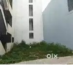 site for sale