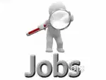 Field executive