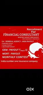 House wifes retirement people's, tax consultant, auditor mutual funds
