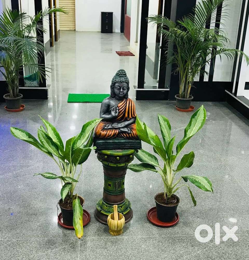 Required Spa female therapist