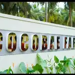 Low Budget Farmland For Sale In Othakalmandapam, Coimbatore