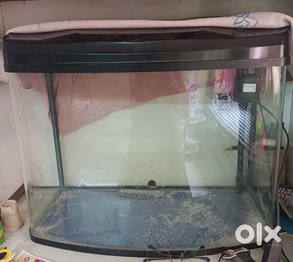 Fish tanks sell at padmavati