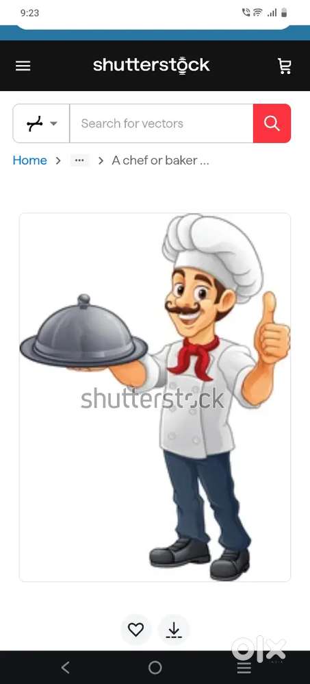 MEALS AND DOSA MASTER