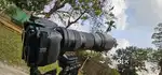 Nikon D5300 with Tamron 150-600mm