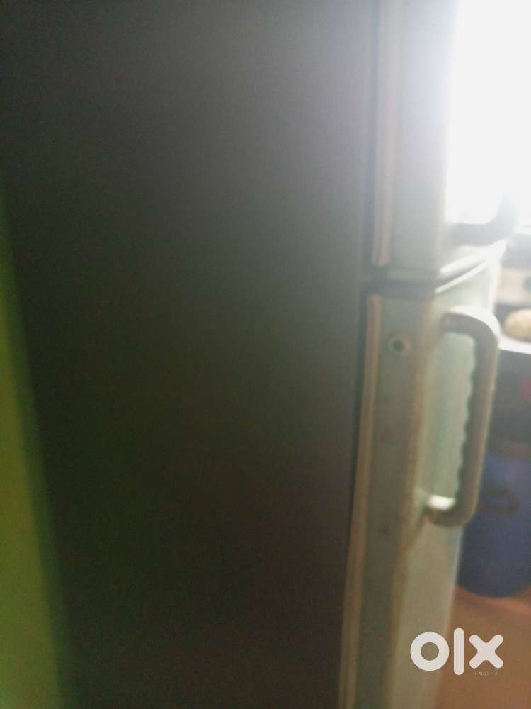 Fridges dubbel dor