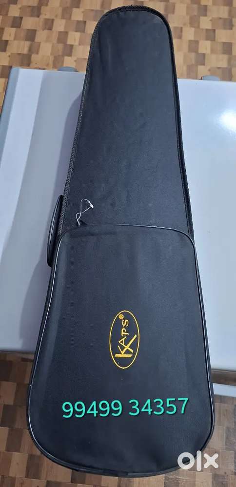 Music instrument Violin