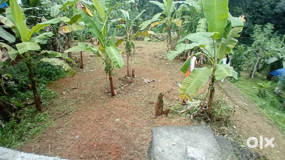 land available for sale