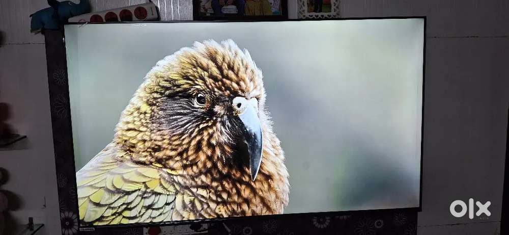 Haier 55 inches LED TV 4K HDR,  SMART TV, GoogleOS