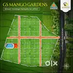 Gs mango garden farm land