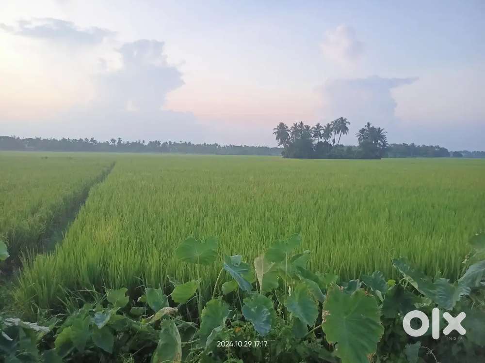 Open Land for Warehouse on Rent