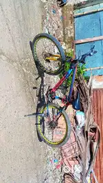 Appgrow Bee Stunt Cycle
