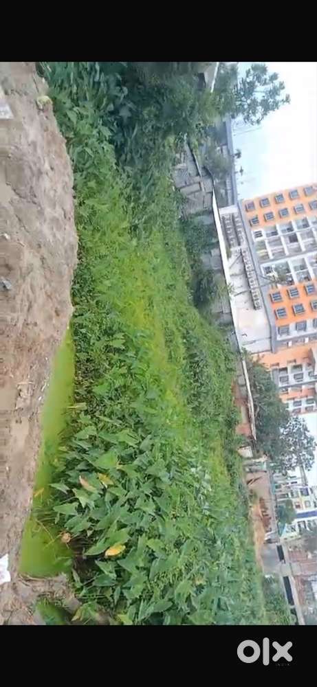 52500sqft commercial land near nagerjola bus stand battala