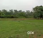 5 acre land with house near chandia at reasonable price