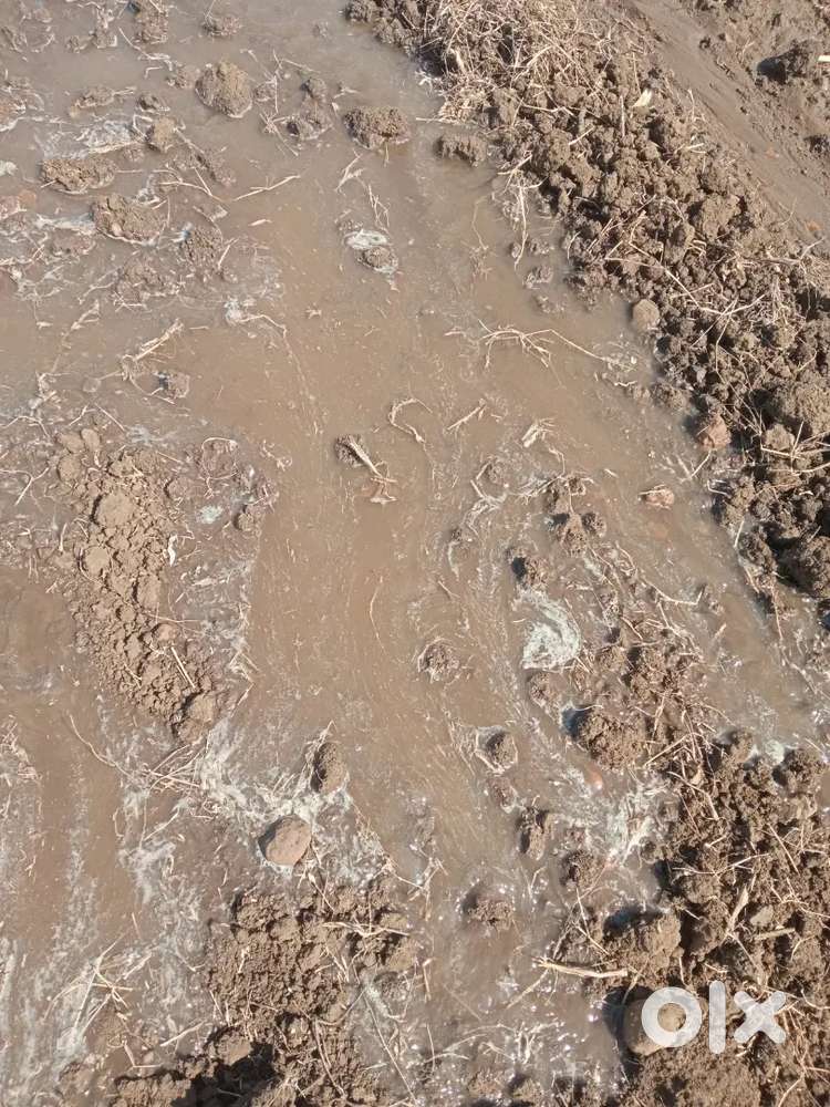 हाईवे के ठीक बगल