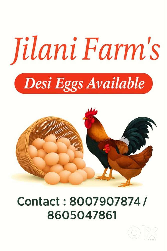 JILANI FARMS