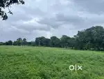 63 Acres land availabe for outrate at Shewagedang for 55 lacs acrs.