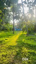 14 Cent Rectangular Plot for Sale