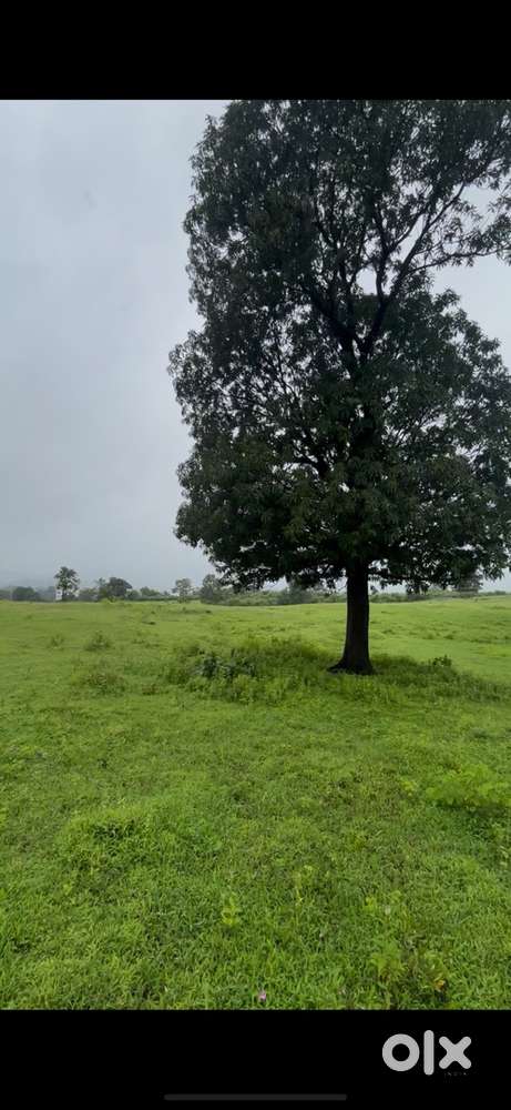 10,890 sq ft Farm House Land at 17.50 Lakhs Only