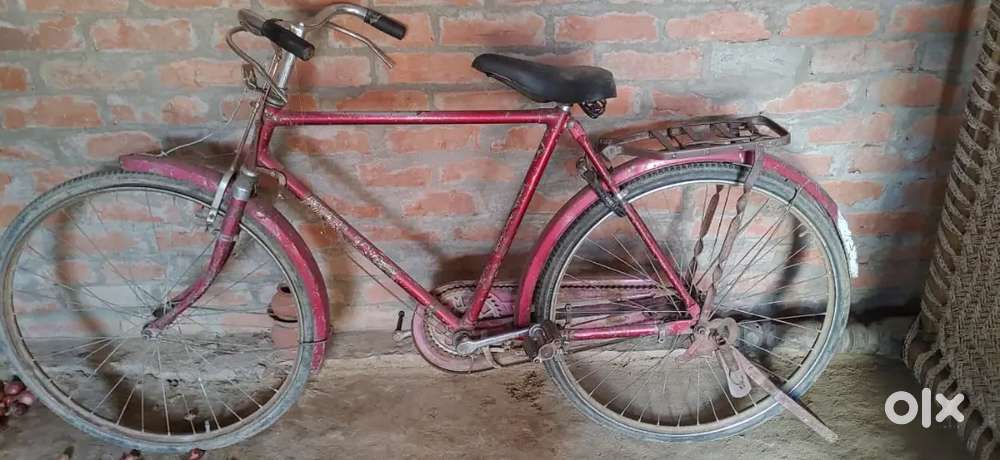 Nilam Cycle 20 Inch
