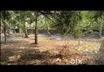 5 cent house plot for sale in kaniyapuram