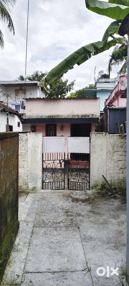 2 cent plot