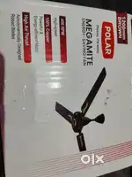 Celling Fan