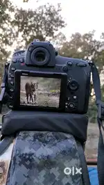 Nikon D850 Body