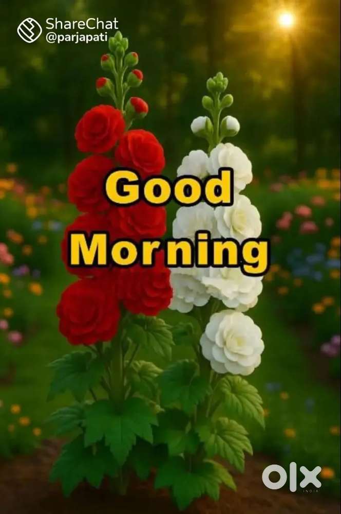 Shop rent 12000 kausa bazaar