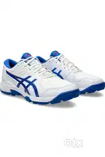 Asics Gel Peake 2 shoe brand new cricket shoes