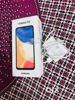 Samsung F13