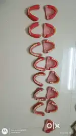 Dental- Record denture base and teeth setting